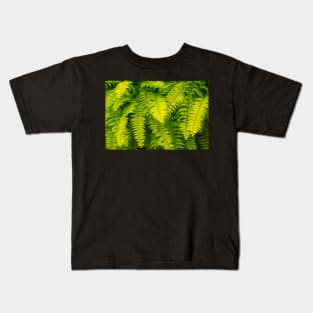 Lush ferns. Kids T-Shirt